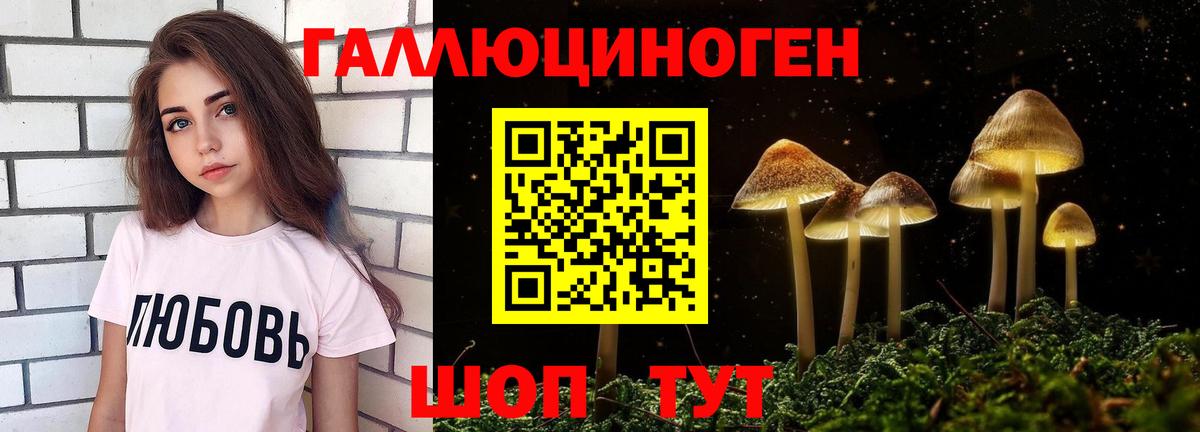 Псилоцибиновые грибы Psilocybe  Вход с VPN  дарнет шоп  Лосино-Петровский 