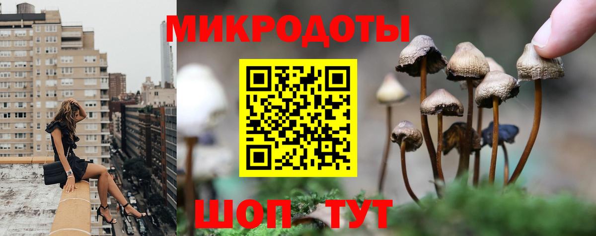 Псилоцибиновые грибы ЛСД Лосино-Петровский