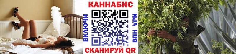 Бошки марихуана OG Kush  наркотики  Лосино-Петровский 