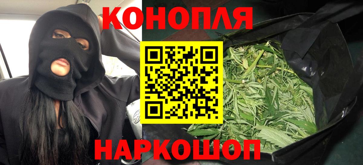 Бошки Шишки Amnesia Лосино-Петровский